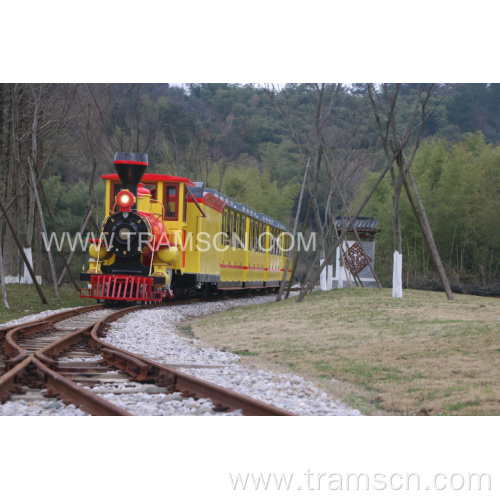 new and high quality amusement track train